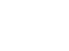 FLEX PHONE