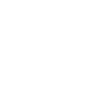 IFLEX